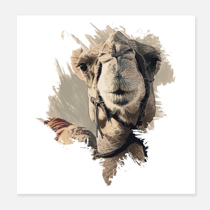 Kamelkopf Kamel Poster 20x20 cm