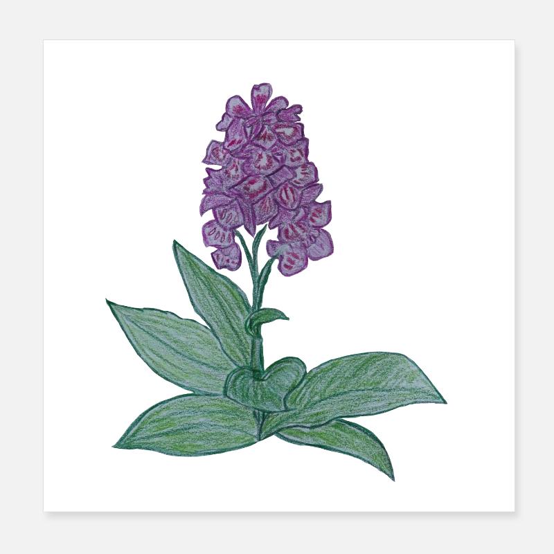 dänische Orchidee Poster 20x20 cm