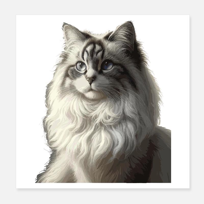 Portrait de visage de chat moelleux Poster 20 x 20 cm