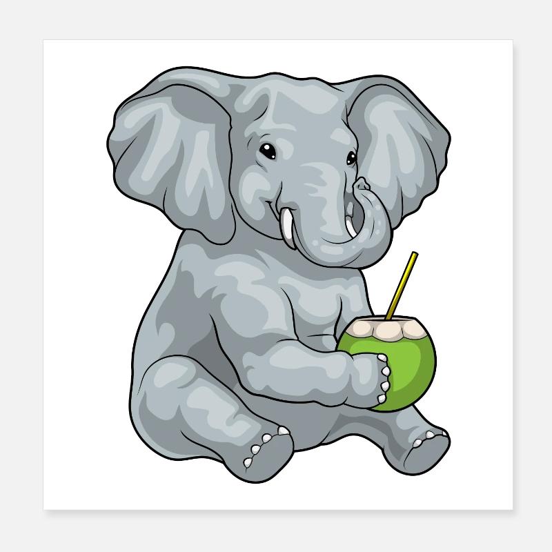 Elefant Kokosnuss Poster 20x20 cm