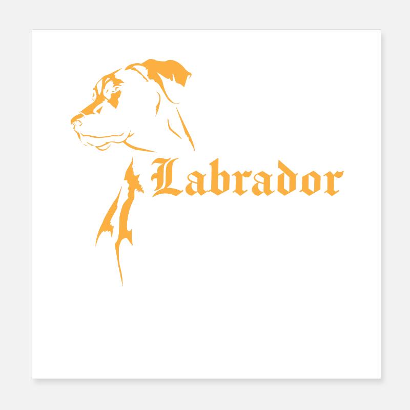 Labrador Poster 20x20 cm