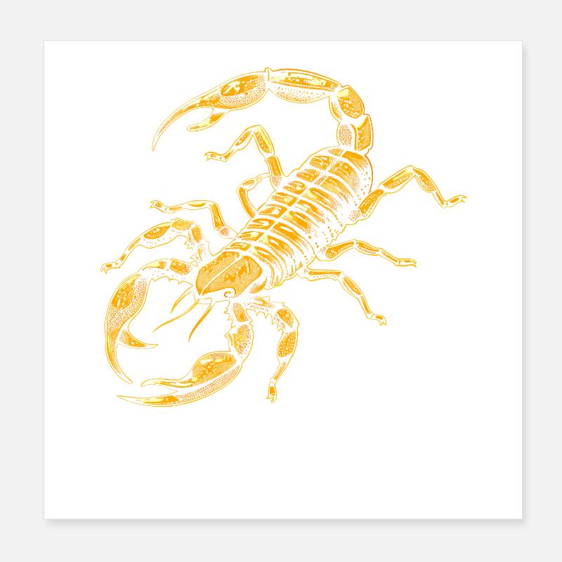 Scorpio Arachnids Scorpion Funny Scorpions Poster 8" x 8" (20x20 cm)