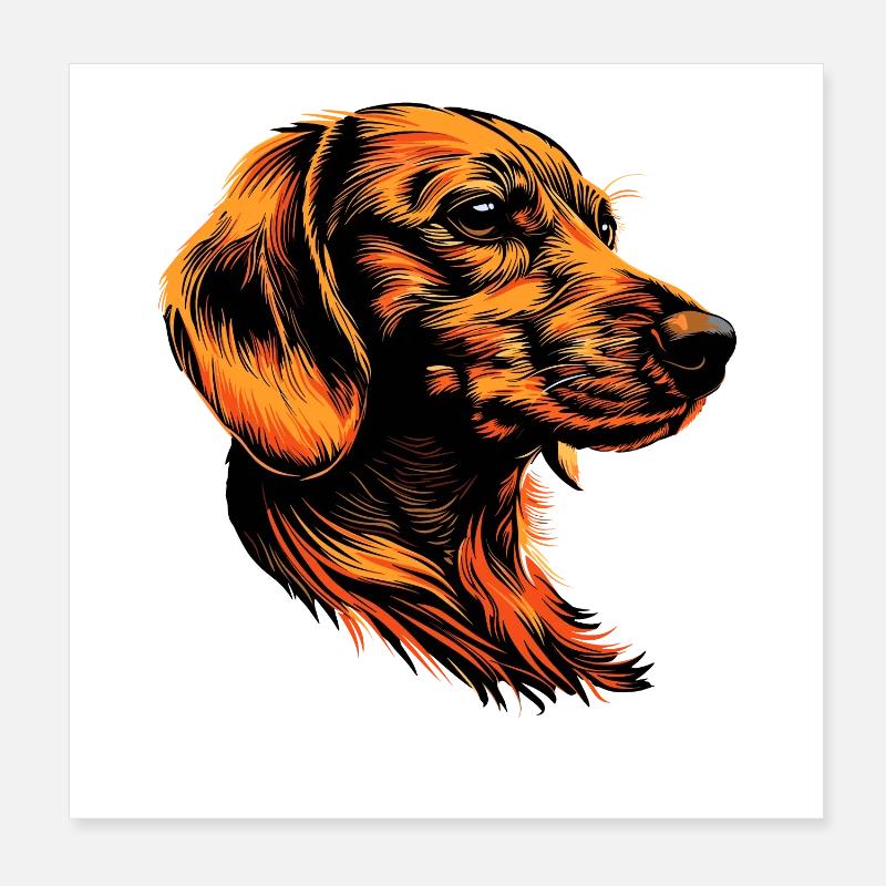 Teckel, Teckel, Teckel miniature, Dachshund Club, Teckel Poster 20 x 20 cm