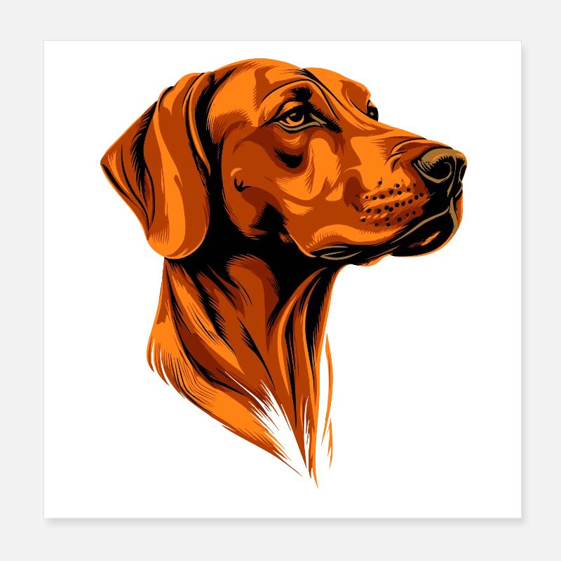 Rhodesian Ridgeback Chien de chasse Chiens Pride Ridgeback Poster 20 x 20 cm