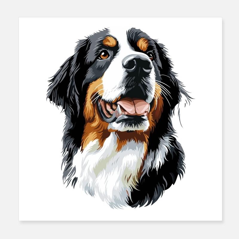 Bouvier bernois Chiens mignons Bouvier suisse Poster 20 x 20 cm
