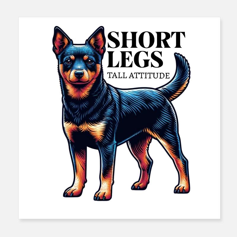 Lancashire talon jambes courtes dire idée cadeau Poster 20 x 20 cm