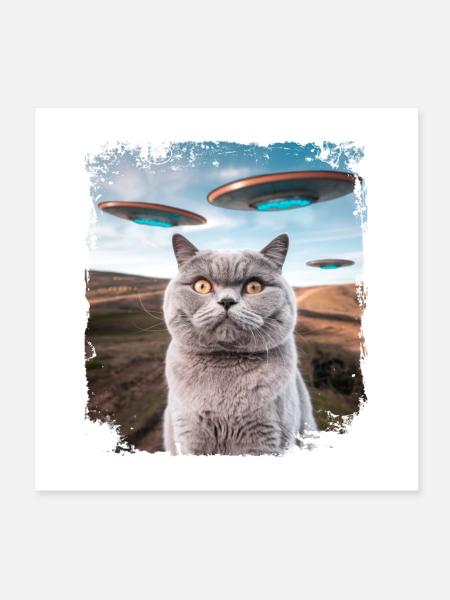 Funny British Shorthair Cat selfie with Alien UFOs - Poster 8" x 8" (20x20 cm) - white - Front
