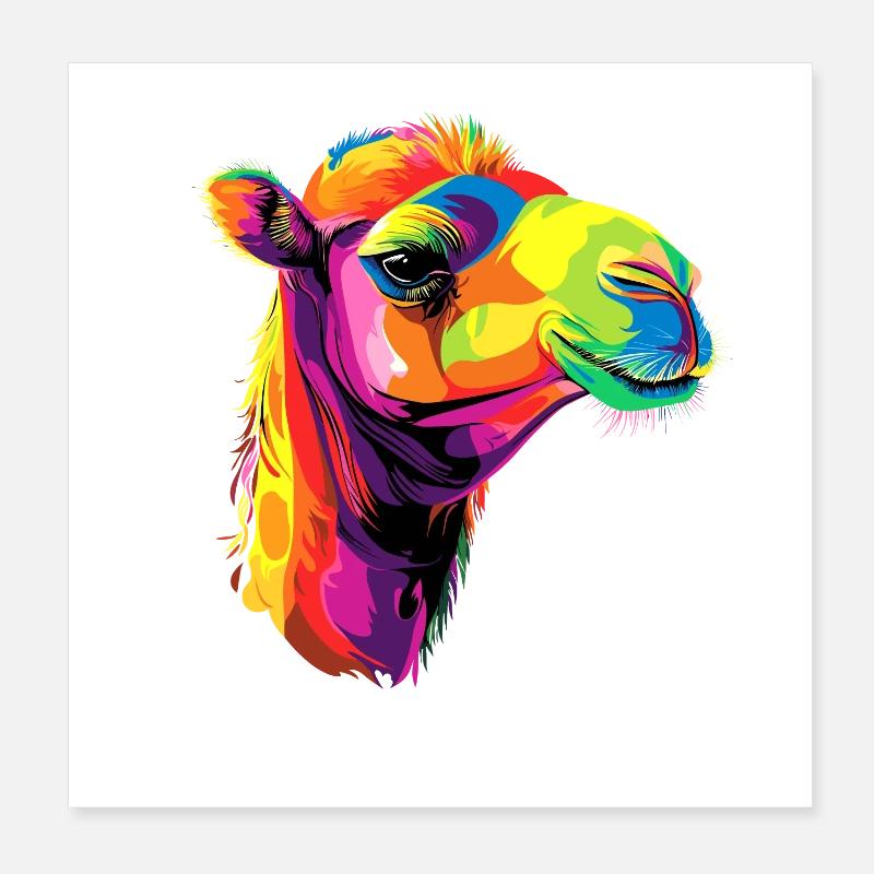 Chameau Dromadaire Camel de Bactriane Cadeau Chameaux Poster 20 x 20 cm