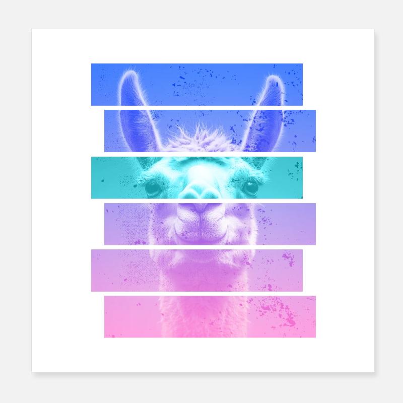Alpaga Poster 20 x 20 cm
