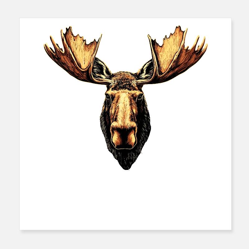 Orignal, Mosses, Bull, Eli, Bois, Cerf, Orignal sauvage Poster 20 x 20 cm