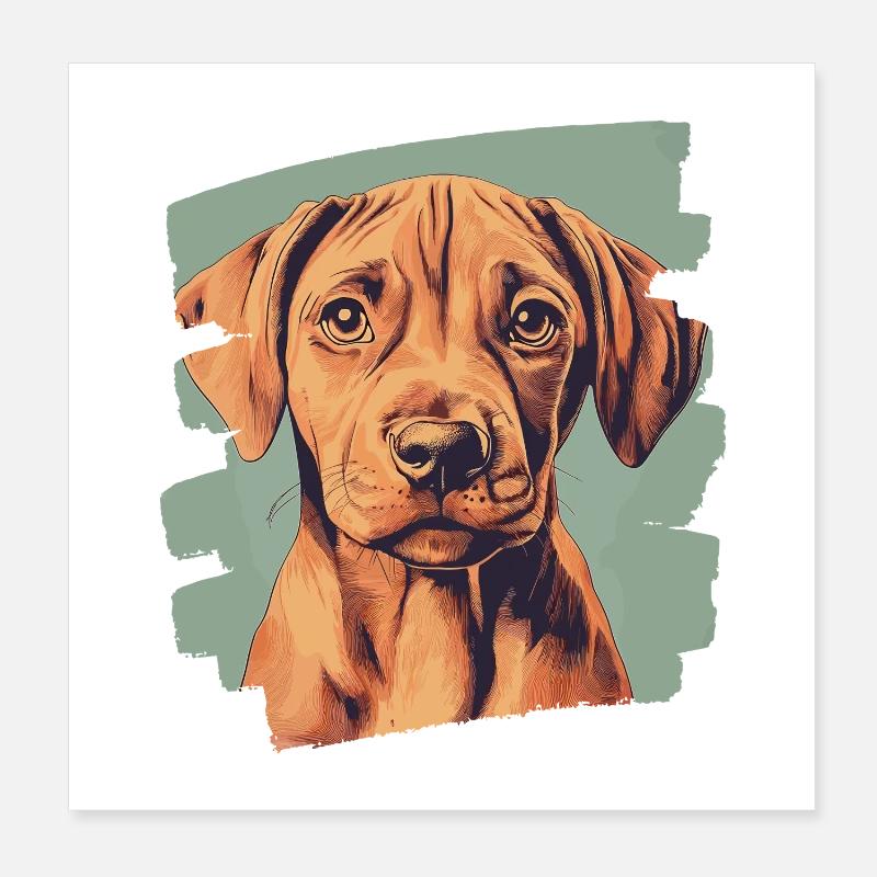 Rhodésian Ridgeback Poster 20 x 20 cm