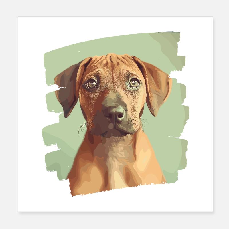 Rhodesian Ridgeback Poster 20x20 cm
