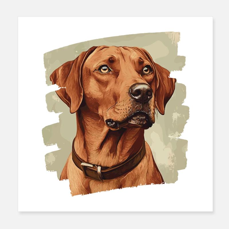 Rhodésian Ridgeback Poster 20 x 20 cm
