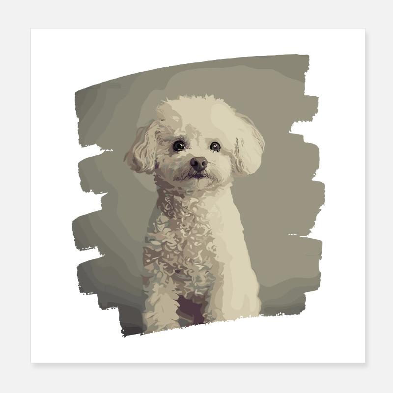Pudel Poster 20x20 cm