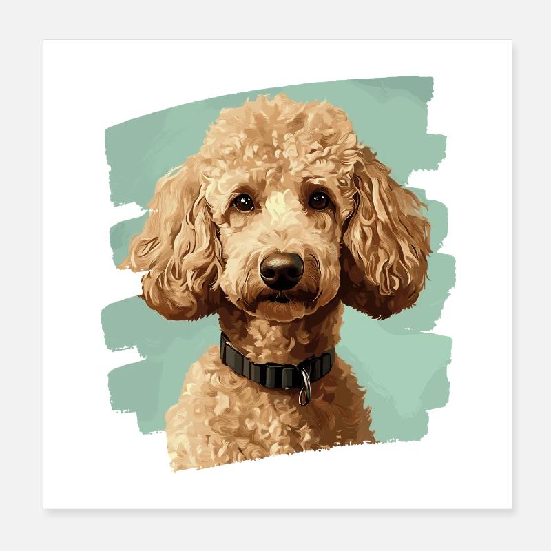 Caniche Poster 20 x 20 cm