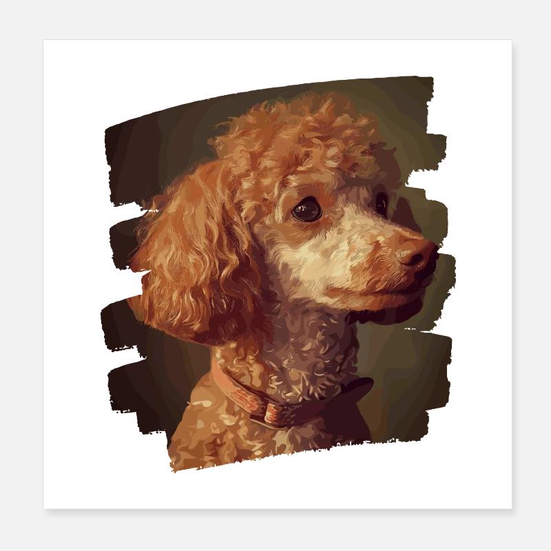 Pudel Poster 20x20 cm