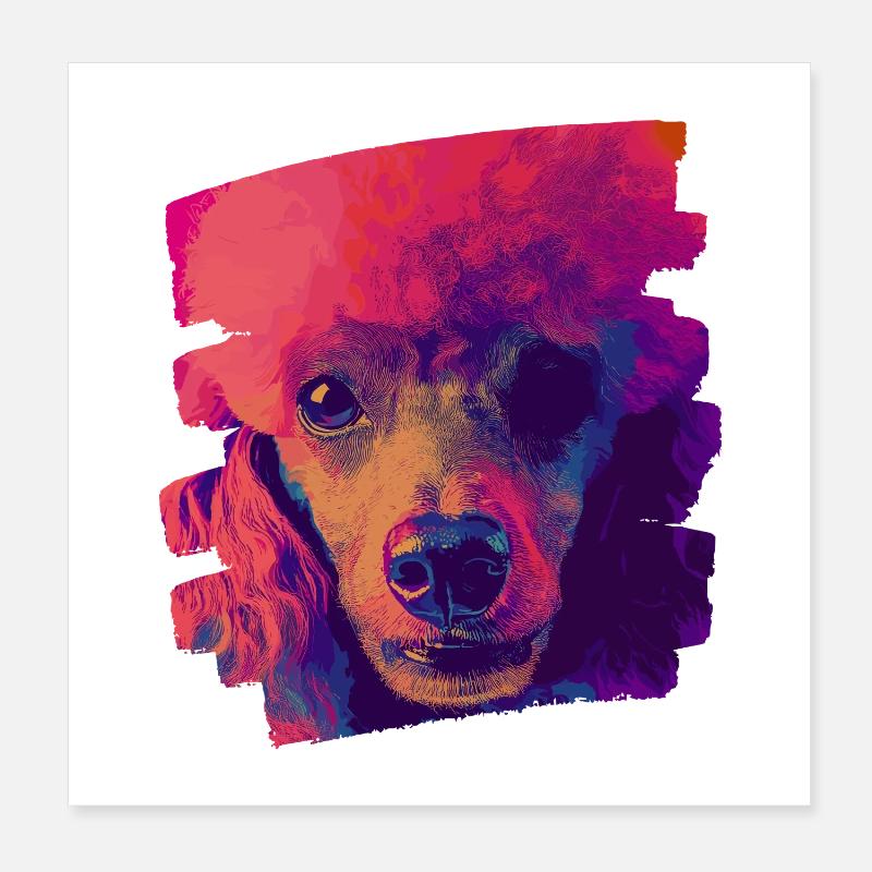 Caniche Poster 20 x 20 cm