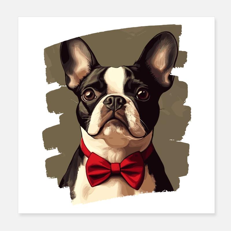 Boston Terrier Poster 20 x 20 cm