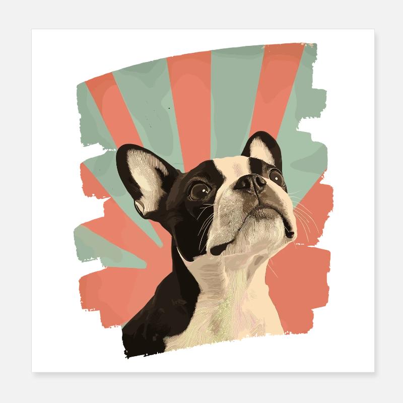 Boston Terrier Poster 20 x 20 cm