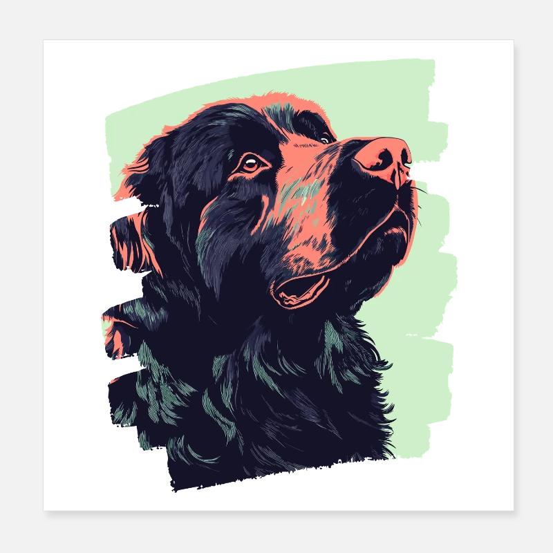 Terre-Neuve Poster 20 x 20 cm