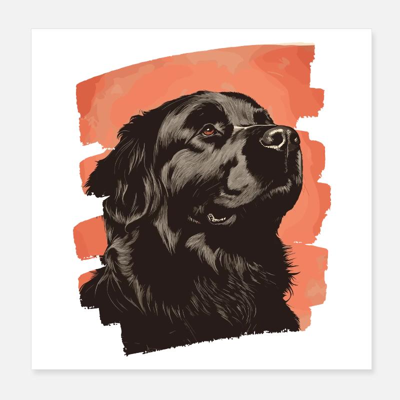 Terre-Neuve Poster 20 x 20 cm