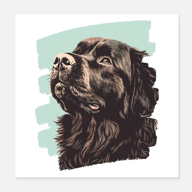 Terre-Neuve Poster 20 x 20 cm