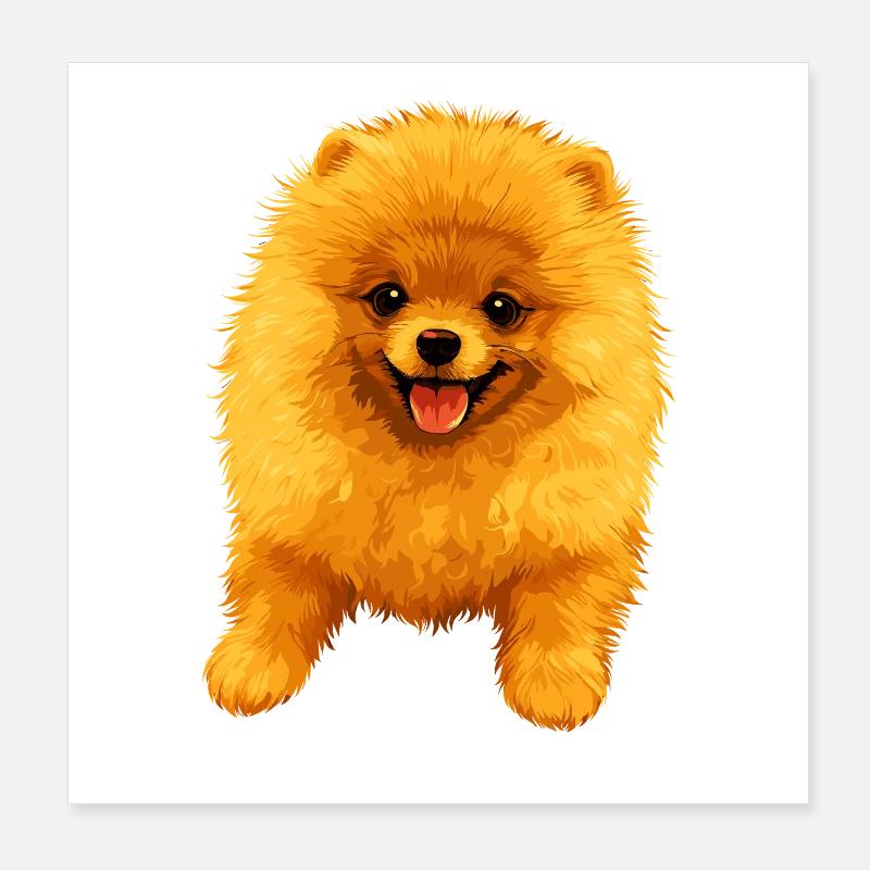 Zwergspitz Pommeraner Pom Süßer Deutscher Spitz Poster 20x20 cm