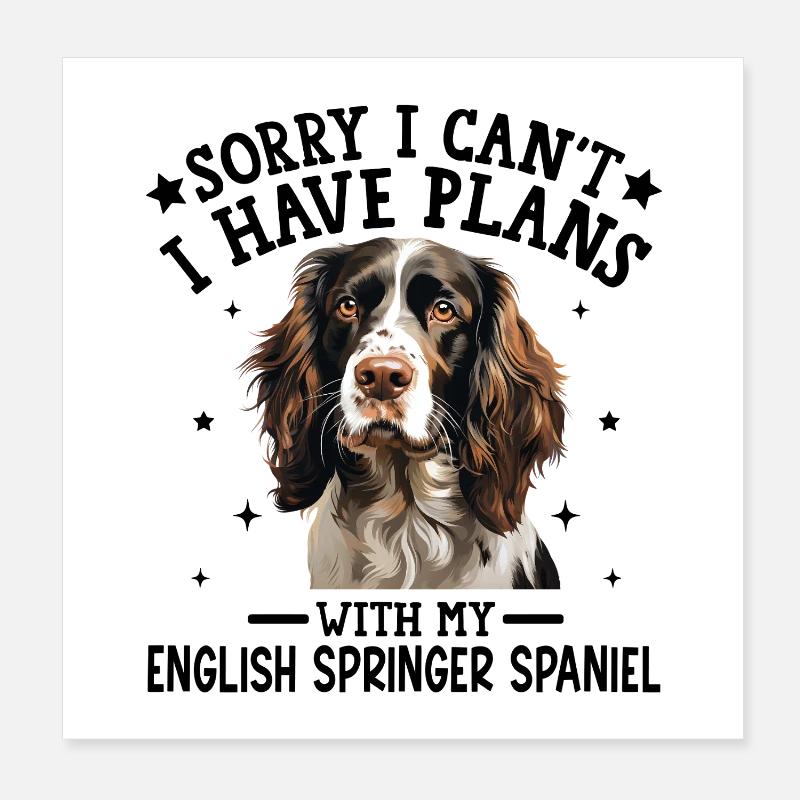 Portrait élégant d'un Springer Spaniel Poster 20 x 20 cm