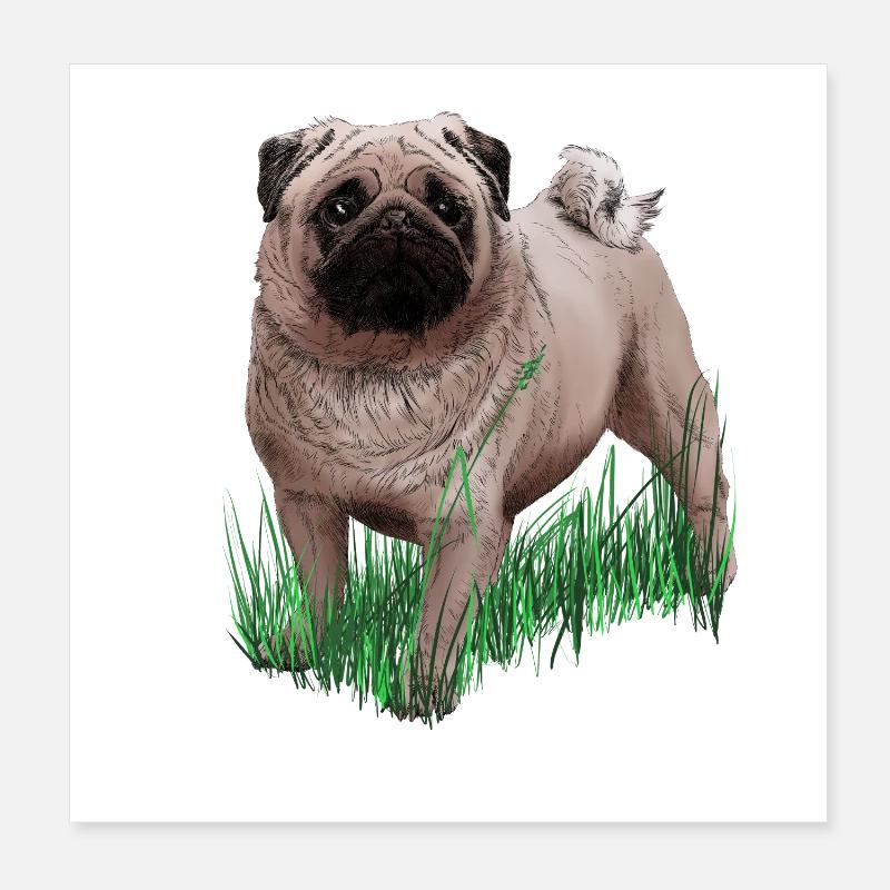 Mops Poster 20x20 cm