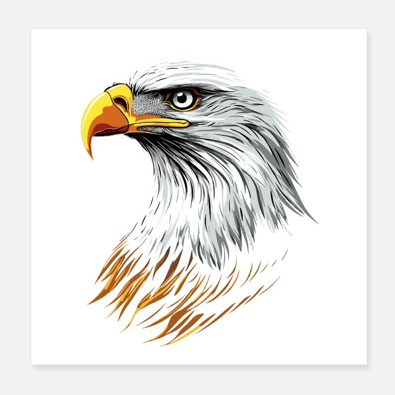 Aigle Pygargue à tête blanche Aigle royal Pygargue à queue blanche Poster 20 x 20 cm
