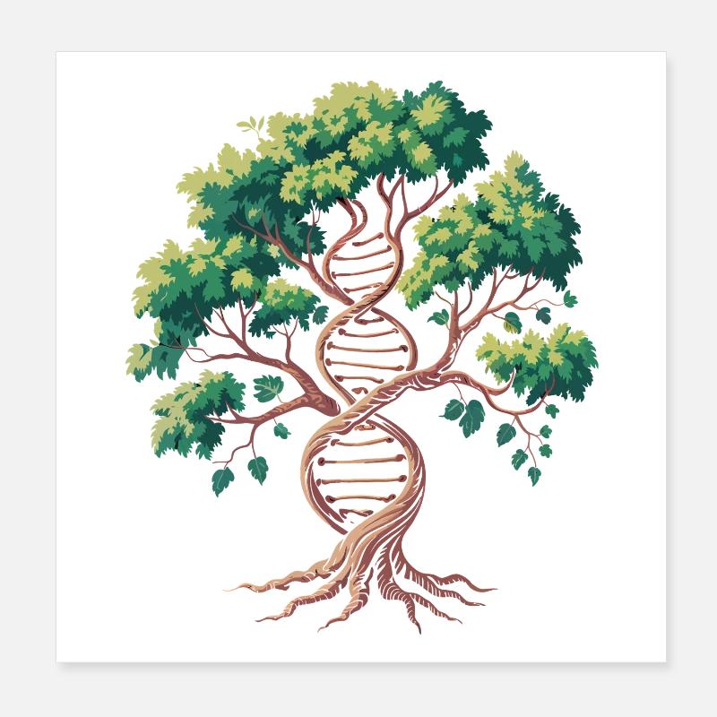 Lebensbaum DNA Verschmelzung Poster 20x20 cm