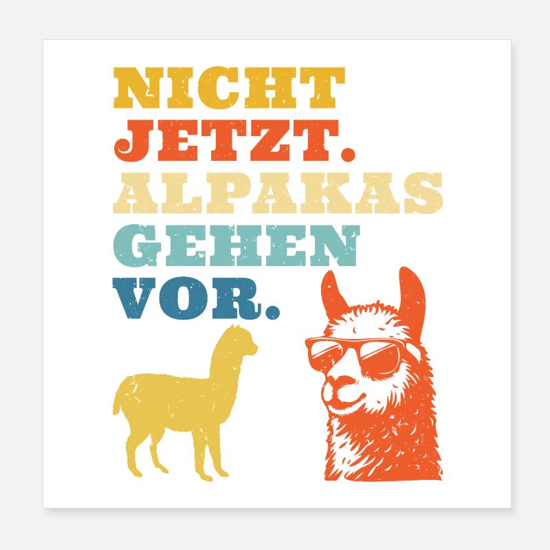 Alpaca Fan NOT NOW ALPACAS COME FIRST Funny Poster 8" x 8" (20x20 cm)