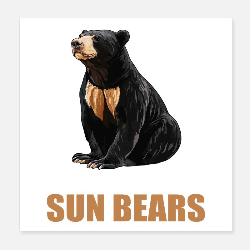 Ours du Soleil Ours Malais Poster 20 x 20 cm