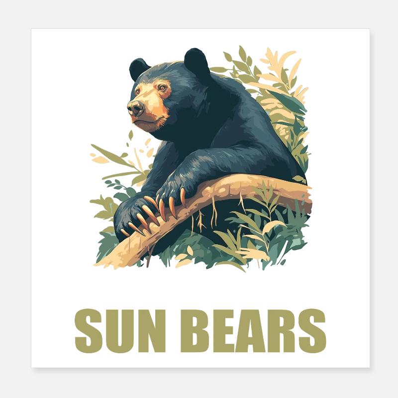 Ours du Soleil Ours Malais Poster 20 x 20 cm