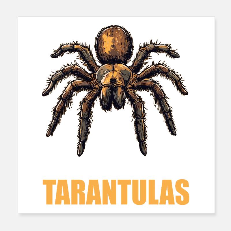 Taranteln Tarantel Poster 20x20 cm