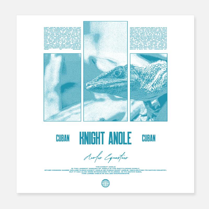 Cuban Knight Anole Lizard Owner Reptile Keeper Poster 8" x 8" (20x20 cm)