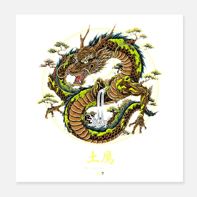 Dragon de terre asiatique avec cascade Poster 20 x 20 cm