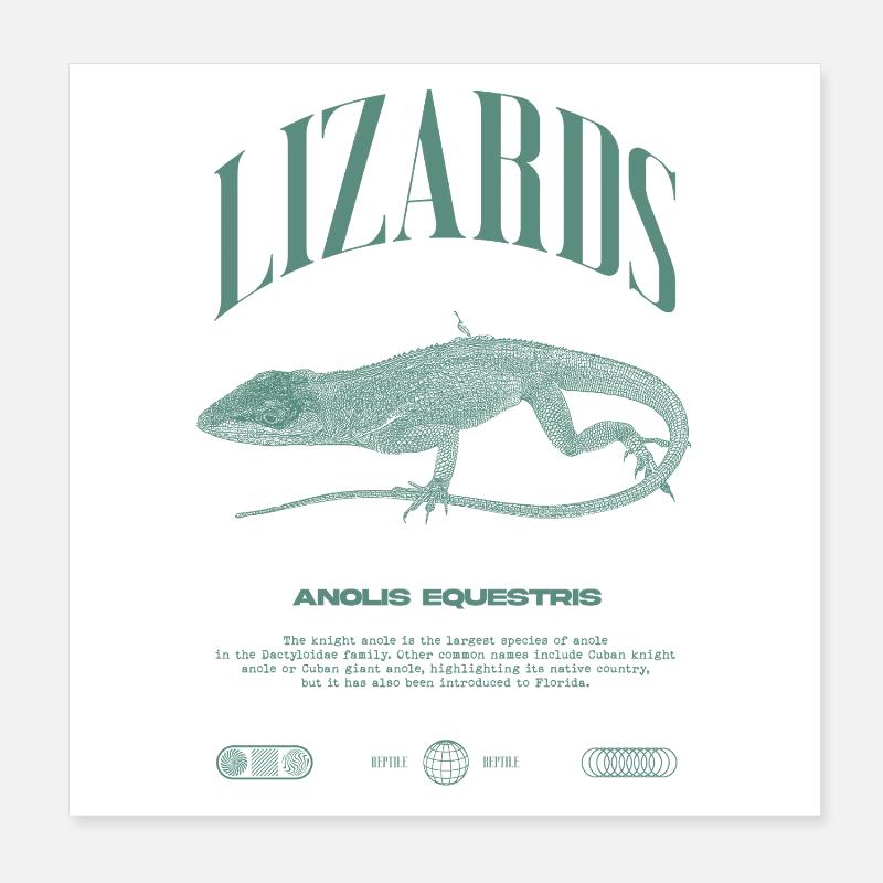 Cuban Knight Anole Reptile Keeper Lizard Poster 8" x 8" (20x20 cm)