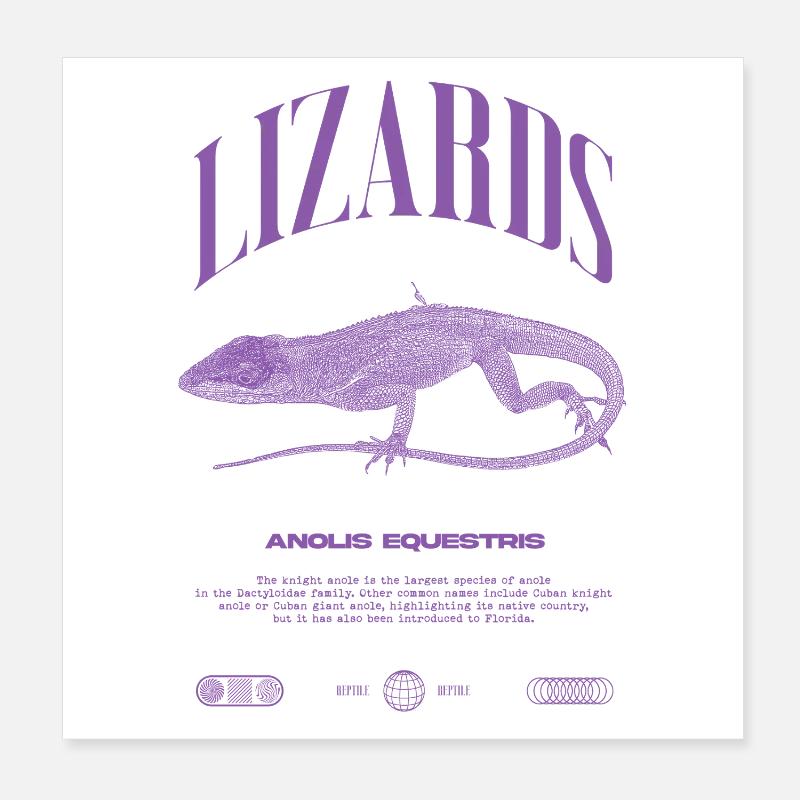 Cuban Knight Anole Reptile Keeper Lizard Poster 8" x 8" (20x20 cm)