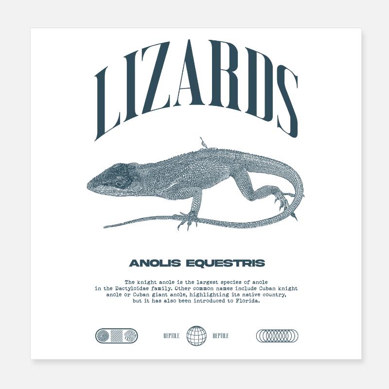 Cuban Knight Anole Reptile Keeper Lizard Poster 8" x 8" (20x20 cm)