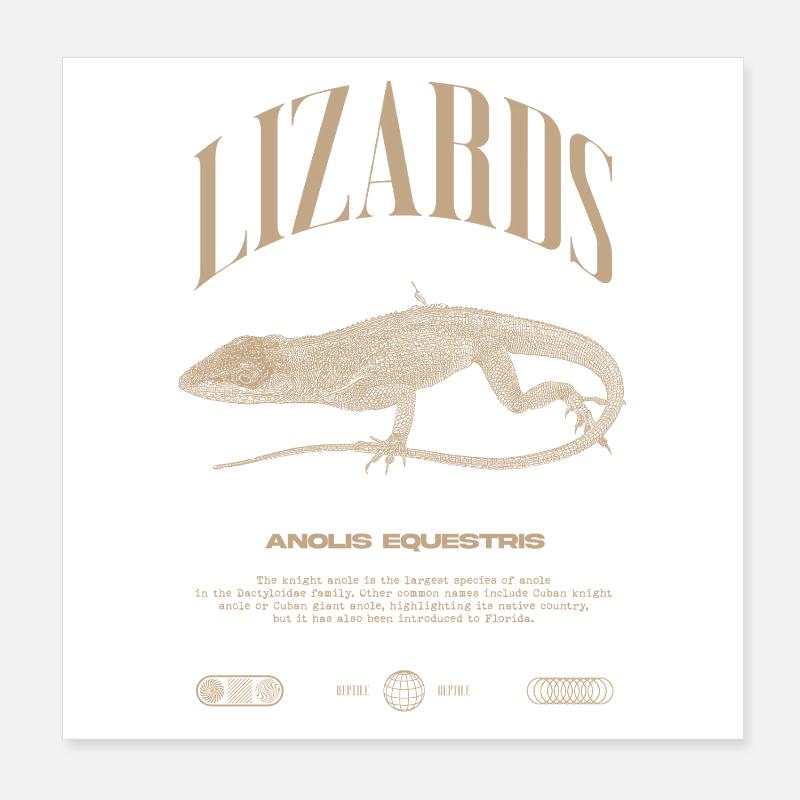 Cuban Knight Anole Reptile Keeper Lizard Poster 8" x 8" (20x20 cm)