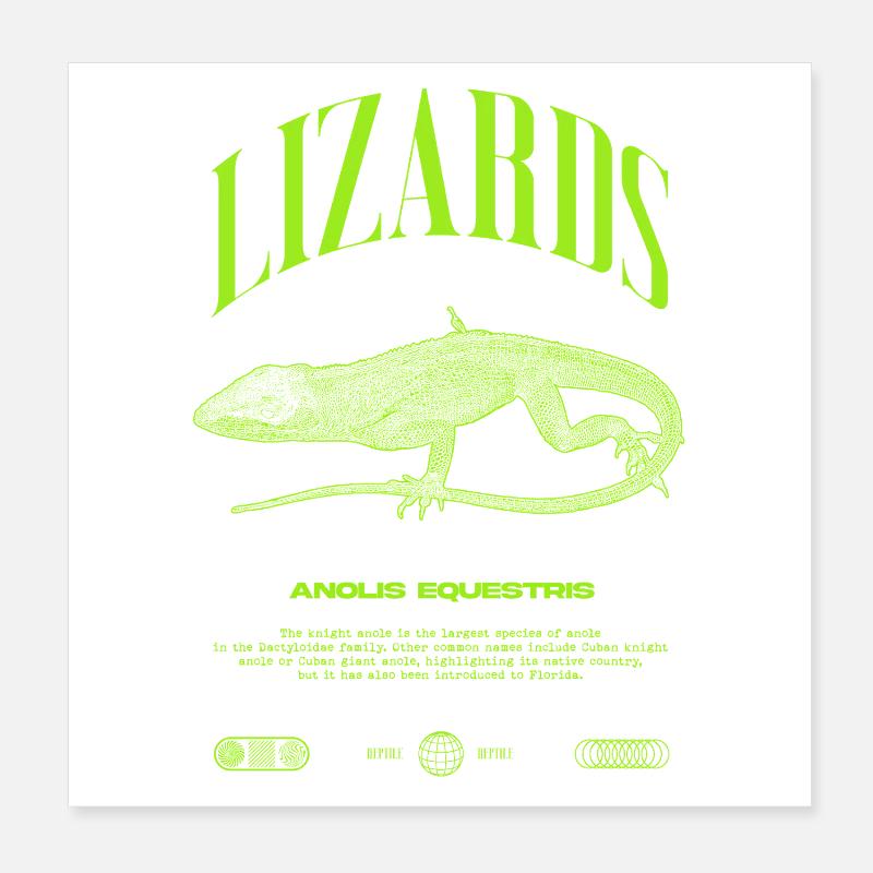 Kubanischer Ritter Anole Reptilienhalter Eidechse Poster 20x20 cm
