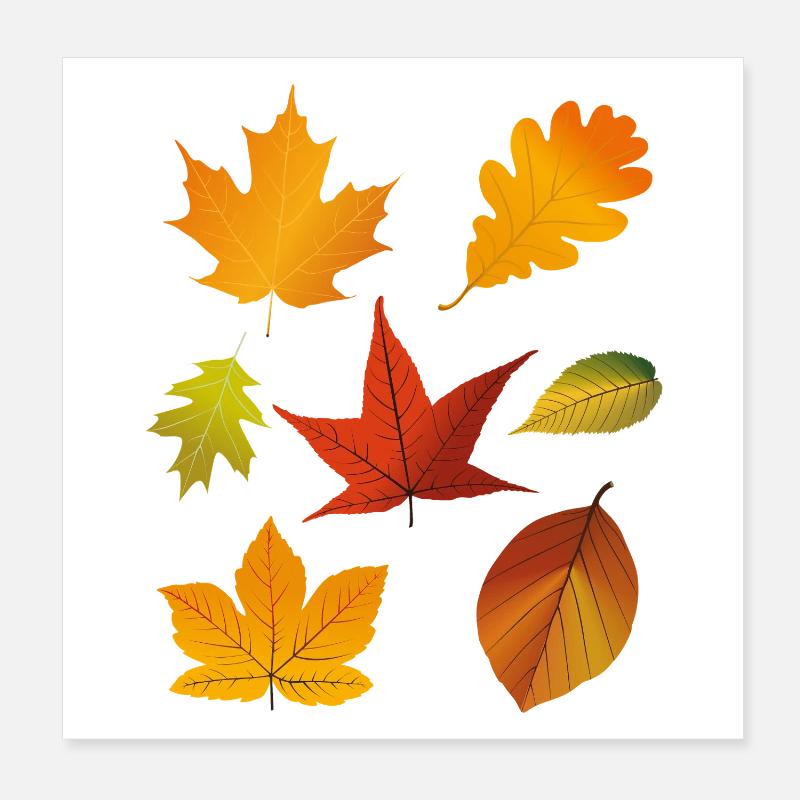 Autumn Fall Leaves Poster 8" x 8" (20x20 cm)
