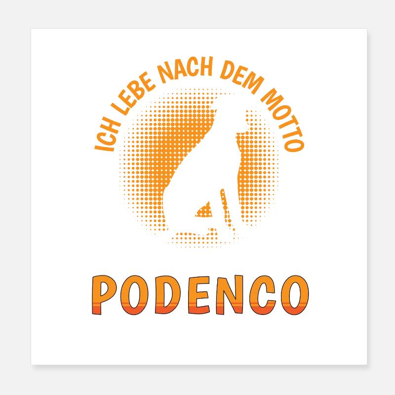 What would Podenco do Spanish Greyhound Poster 8" x 8" (20x20 cm)
