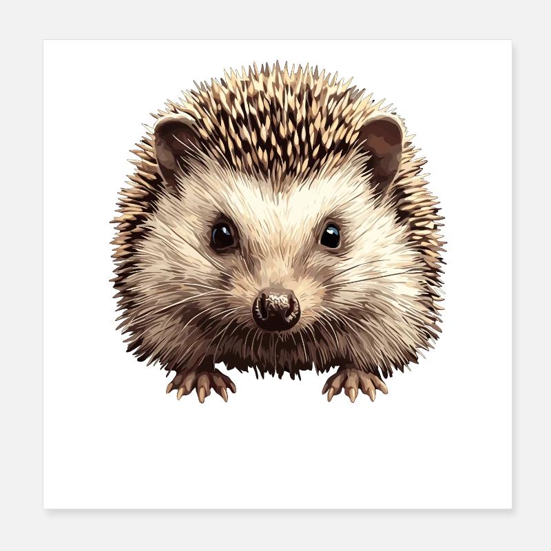 Igel Poster 20x20 cm