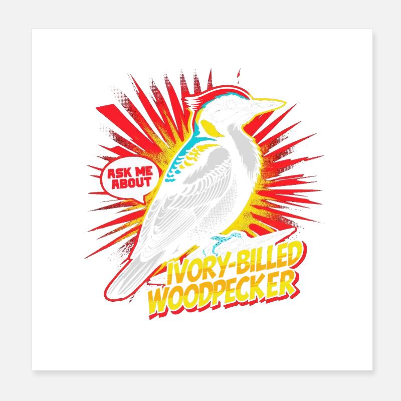 Elfenbein Specht Vogelbeobachter Poster 20x20 cm