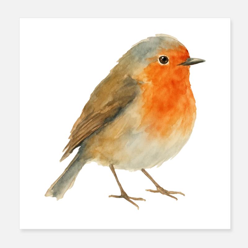 Robin aquarelle Poster 20 x 20 cm