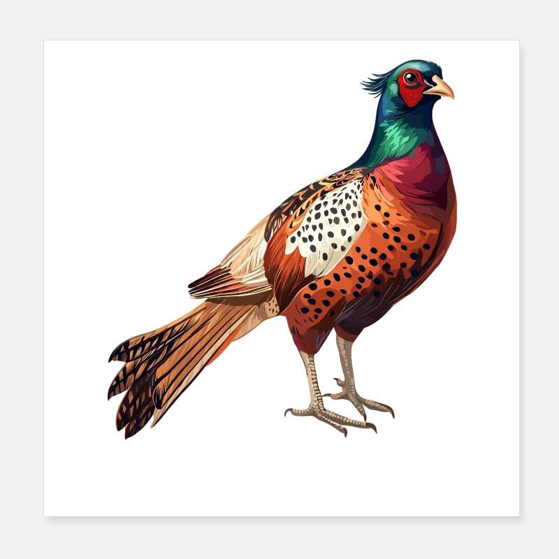 Pheasants Pheasant Poster 8" x 8" (20x20 cm)