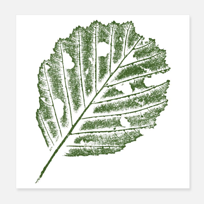 Empreinte feuille - Aulne Poster 20 x 20 cm