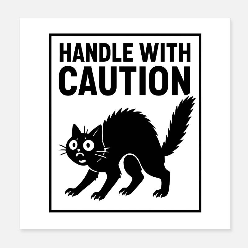 Manipulez avec prudence Katze Achtung Spruch Fun Poster 20 x 20 cm
